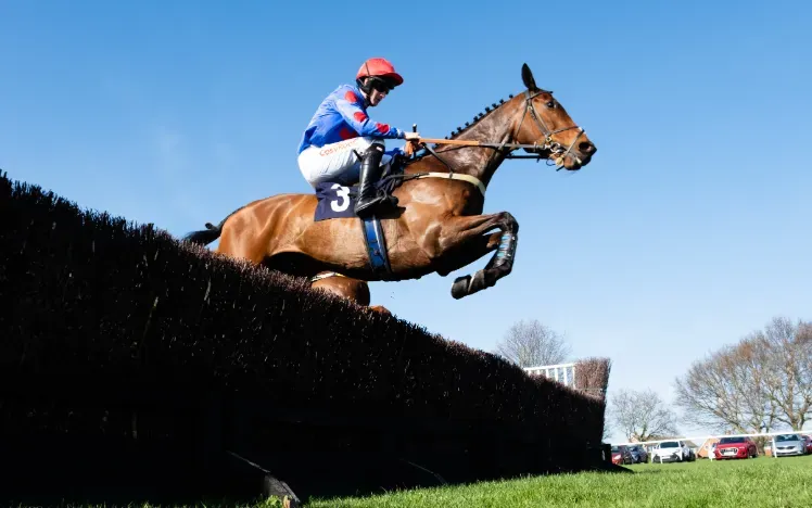 A view point from close to the ground of a horse taking on a jump in the sunshine at Hereford