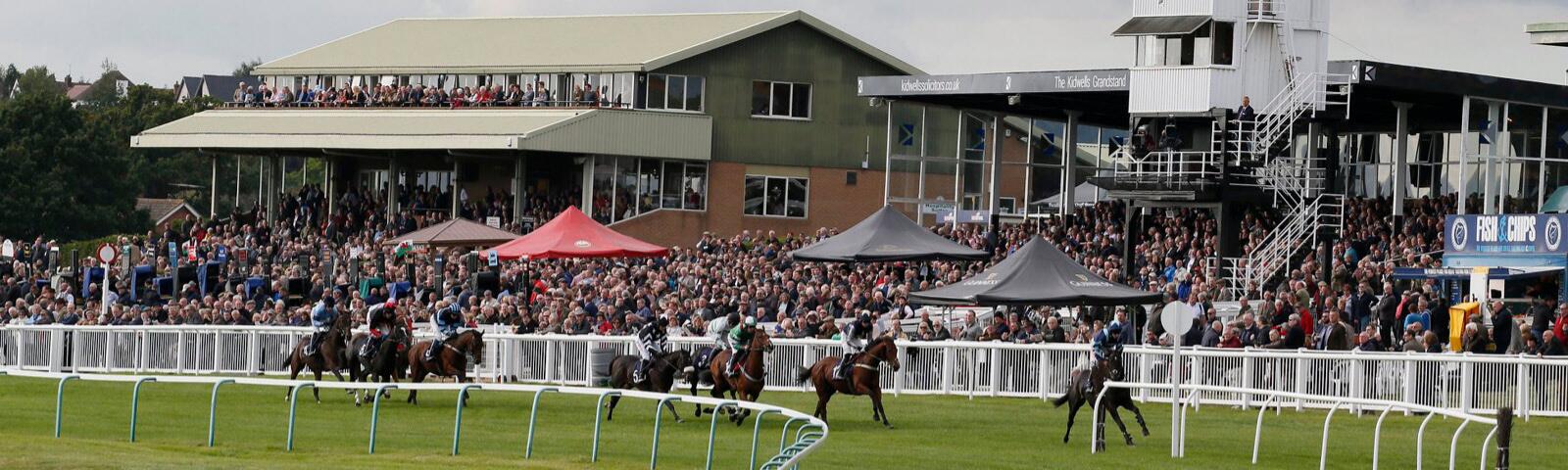 Crowd at Great Hereford Racecourse.