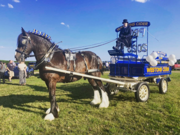 Hereford Racecourse Prom Westons Cider Horse and Dray 