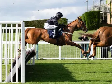 A horse takes on a jump with ease at Hereford race track