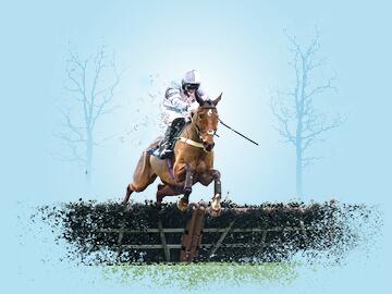 Jump Racing at Hereford