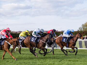 Jumps Racing In Hereford Sunday 25th February 