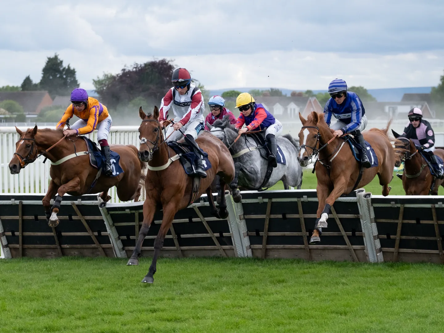 Afternoon Racing at Hereford Racecourse