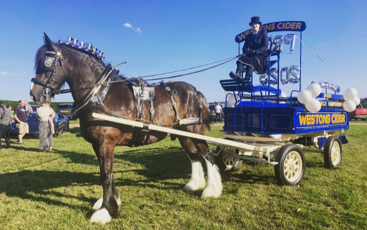 Hereford Racecourse Westons Cider Dray at Prom 2023