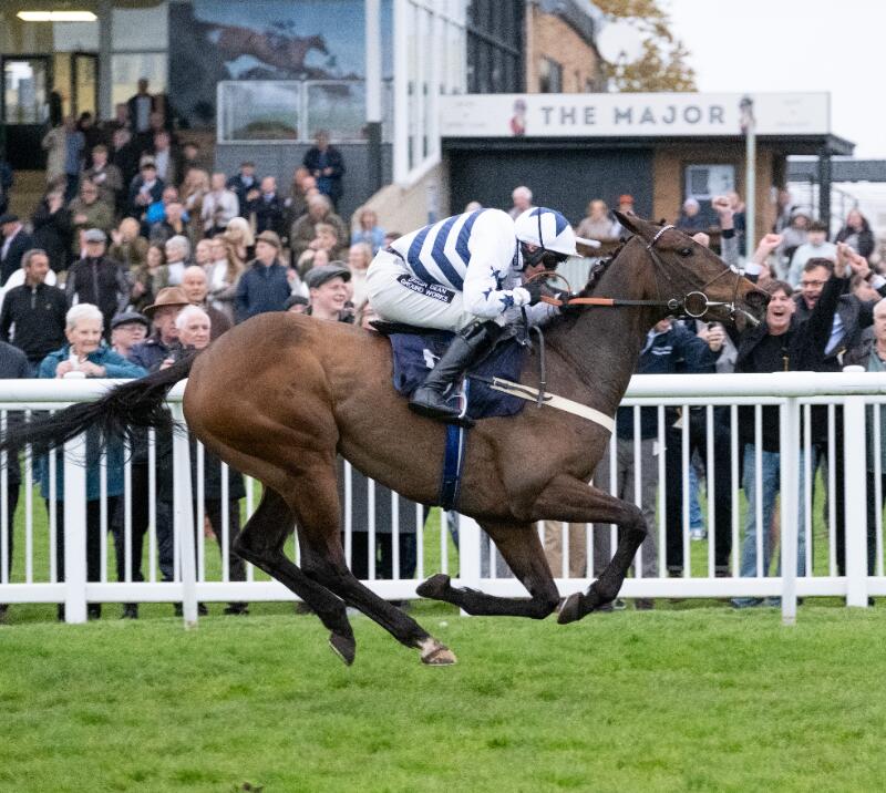 A close up of a horse racing at Hereford Racecourse