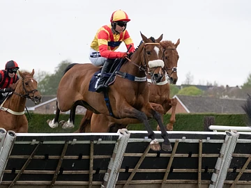 Horses jumping over hurdle